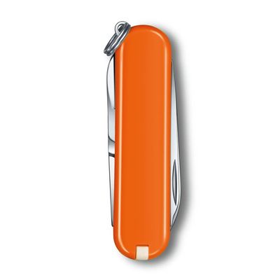 Couteau de poche CLASSIC SD 58 mm MANGO TANGO VICTORINOX 0.6223.83G 4