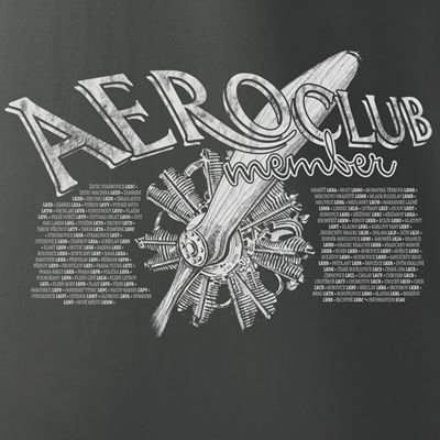 T-shirt AEROCLUB GRIS-BLEU ANTONIO® 01103103 2