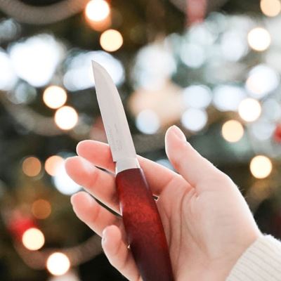 Couteau CLASSIC n° 1 ROUGE MORA of Sweden® 13603 5