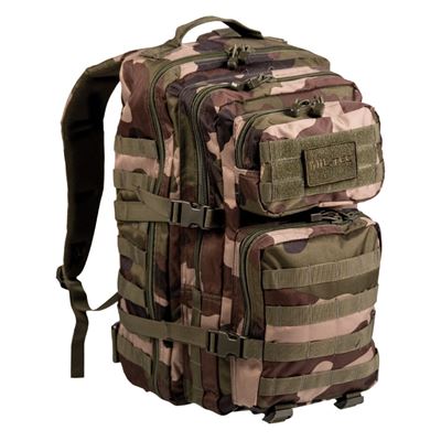 Sac à dos ASSAULT II grand CCE TARN