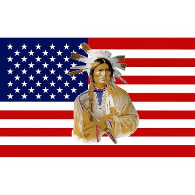 Drapeau AMERICAN INDIAN