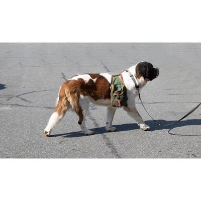 Sac/sacoche pour chien en toile d'occasion VERT