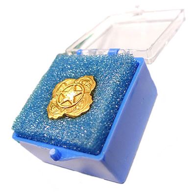 Insigne US STAR Armée américaine 1785681 3