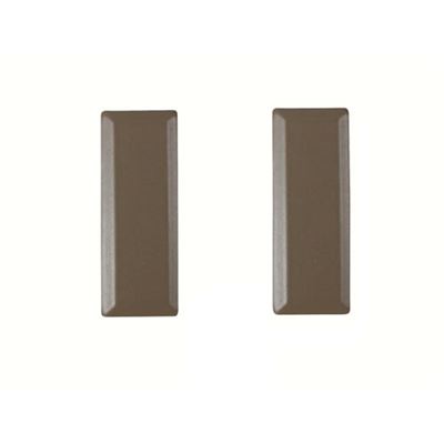 Insigne de grade 2nd LIEUTENANT SUBDUED