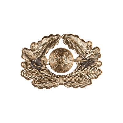 Insigne NVA pour casquette d'officier VM OR Armée NVA/DDR 19431500 2