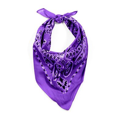 Foulard 55 x 55 cm TRAINMEN VIOLET ROTHCO 4053 2