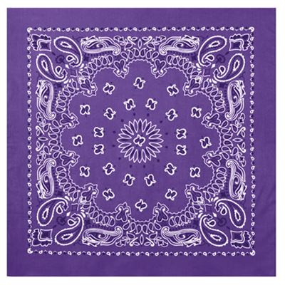 Foulard 55 x 55 cm TRAINMEN VIOLET