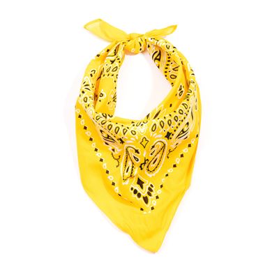 Foulard 55 x 55 cm TRAINMEN JAUNE ROTHCO 4069 2