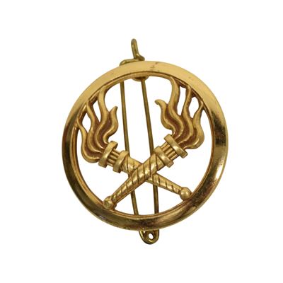 Insigne français SERVICE DES ESSENCES