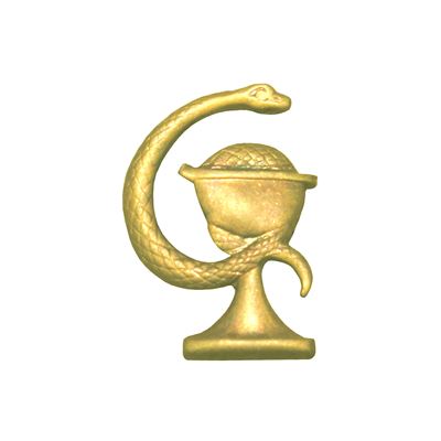 Insigne distinctif ČSLA/AČR ZDRAVOTNÍK doré or