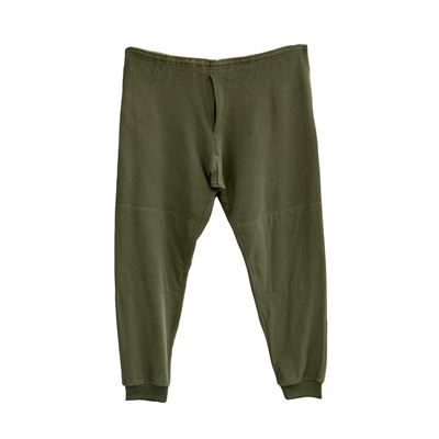 Insert TERMO en polaire pour pantalon ECWCS NM AČR VERT