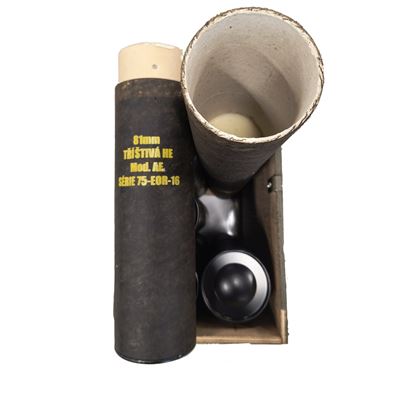 Caisse en bois pour mines à fragmentation de 81 mm, comprenant 6 cartouches, d'occasion. Armée tchèque 8UN0321 3