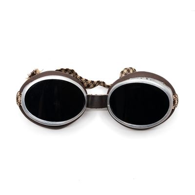 Lunettes de glacier autrichiennes avec étui Armée autrichienne 9156702 3