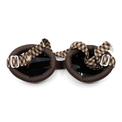 Lunettes de glacier autrichiennes avec étui Armée autrichienne 9156702 5