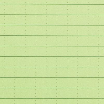 Bloc-notes imperméable RITE IN THE RAIN Memo Book VERT RITE IN THE RAIN RR-954 3