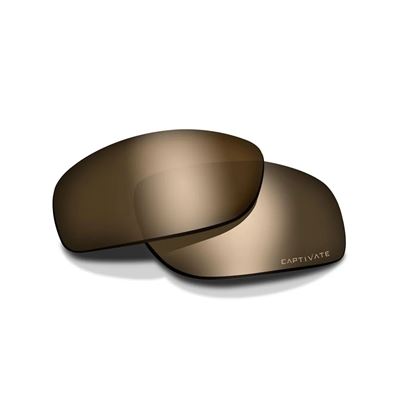 Verres de rechange pour lunettes WX APEX POLARISÉ CAPTIVATE™ TUNGSTEN