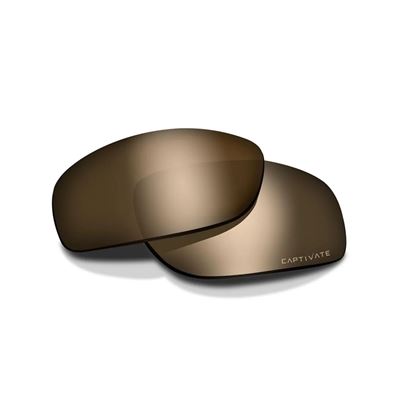 Verres de rechange pour lunettes WX AXE POLARISÉ CAPTIVATE™ TUNGSTEN