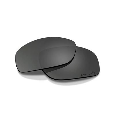Verres de rechange pour lunettes WX TREK POLARISÉ CAPTIVATE™ FUMÉS