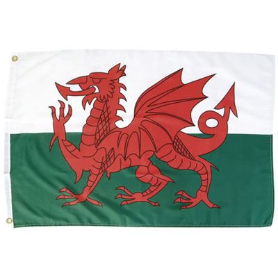 Drapeau WELSH DRAGON 150 x 90 cm