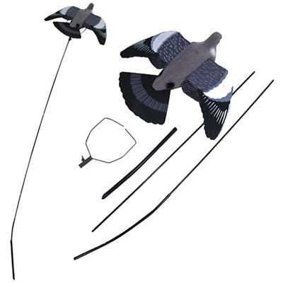 Appât HOLUB LETÍCÍ set