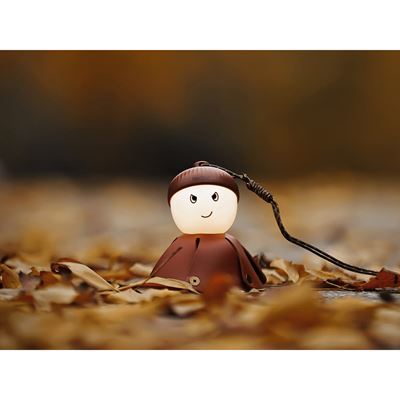 Lampe rechargeable ACORN LIGHT NexTool NE20252 11