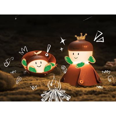 Lampe rechargeable ACORN LIGHT NexTool NE20252 5