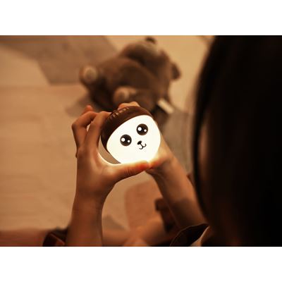 Lampe rechargeable ACORN LIGHT NexTool NE20252 15