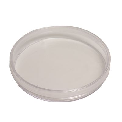 Boîtes de Pétri en verre 10 cm, lot de 10 pièces