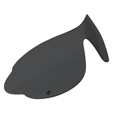 Verre de rechange pour lunettes RAIDER SMOKE fumé