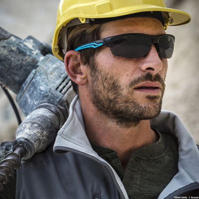 Lunettes de protection TRYON BLEU monture fumée verres POLARISÉS BOLLE® TRYOPOL 2