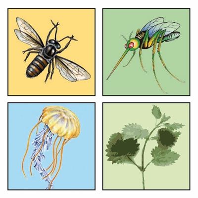 Bâtonnet apaisant les démangeaisons après une piqûre d'insecte Bite Relief Lotion  TS-93 2