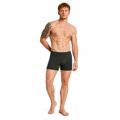 Caleçons boxers fonctionnels pour hommes MERINOWOOL 05 VERT VOXX V-1263-K 3