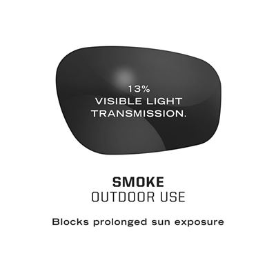 Lunettes tactiques TYPE-N NOIRES MECHANIX WEAR® VNS2-20AF-CE 3