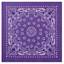 Foulard 55 x 55 cm TRAINMEN VIOLET